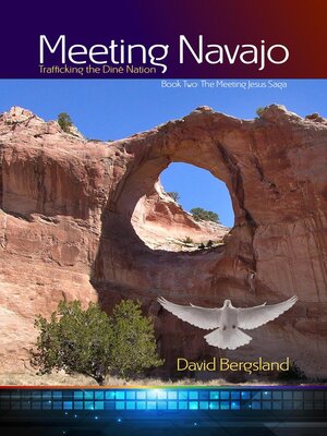 cover image of Meeting Navajo